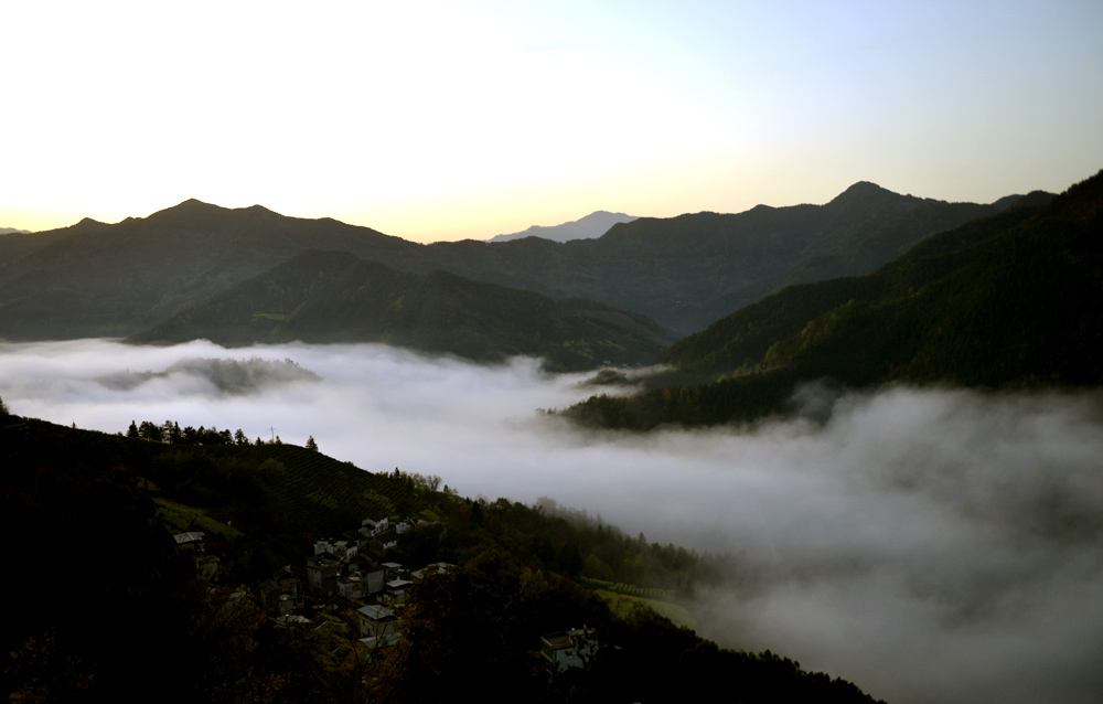 _DSC0510.JPG