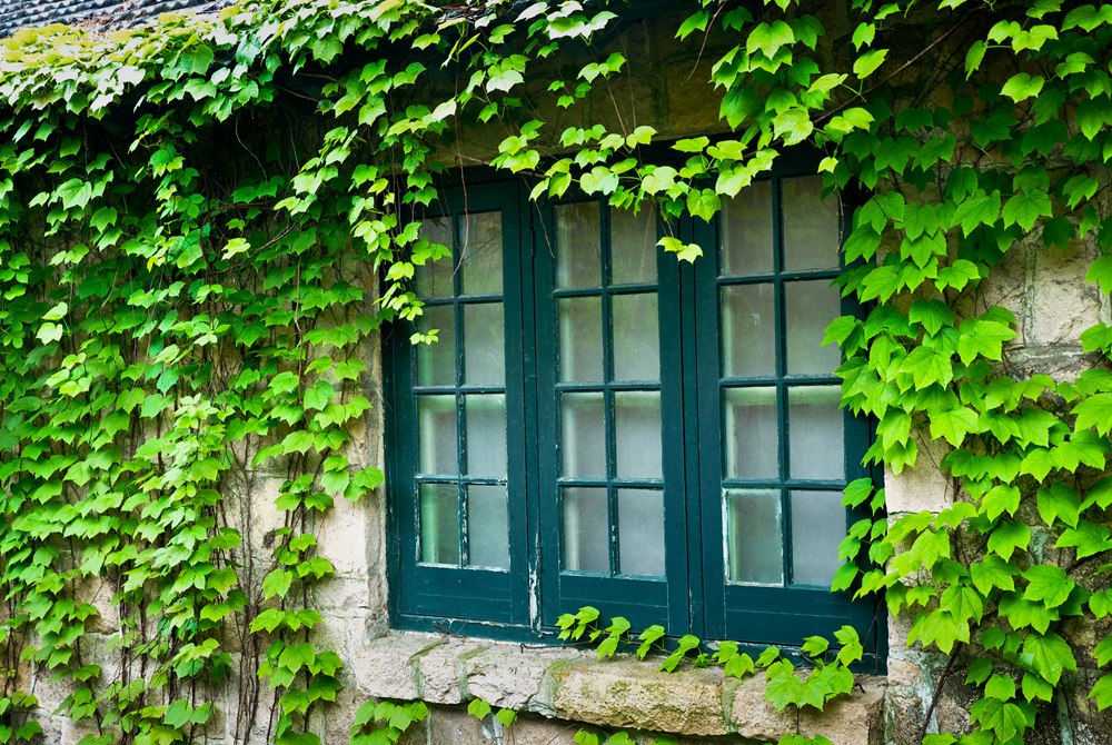 DSC_0439.JPG