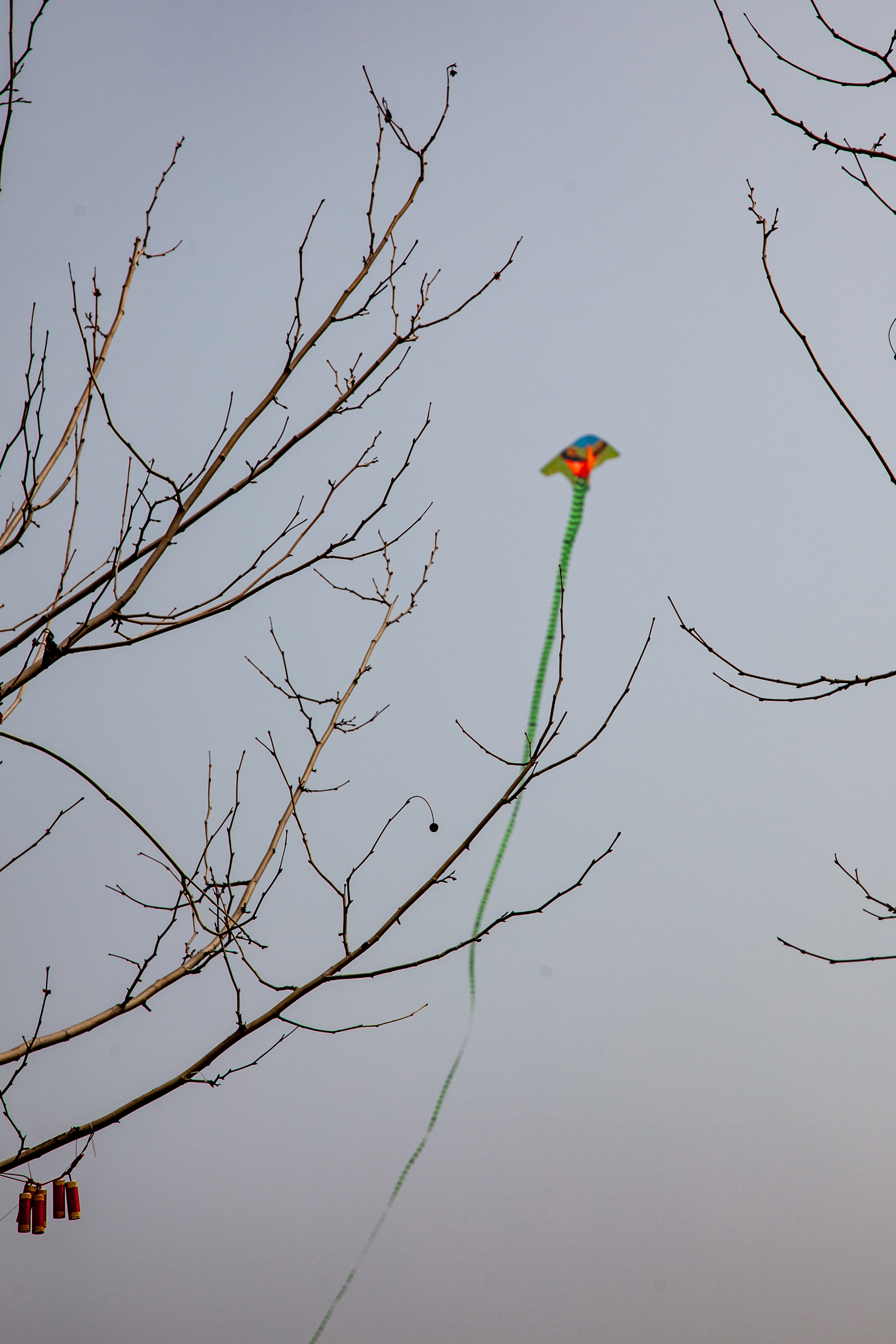 _MG_0025.jpg