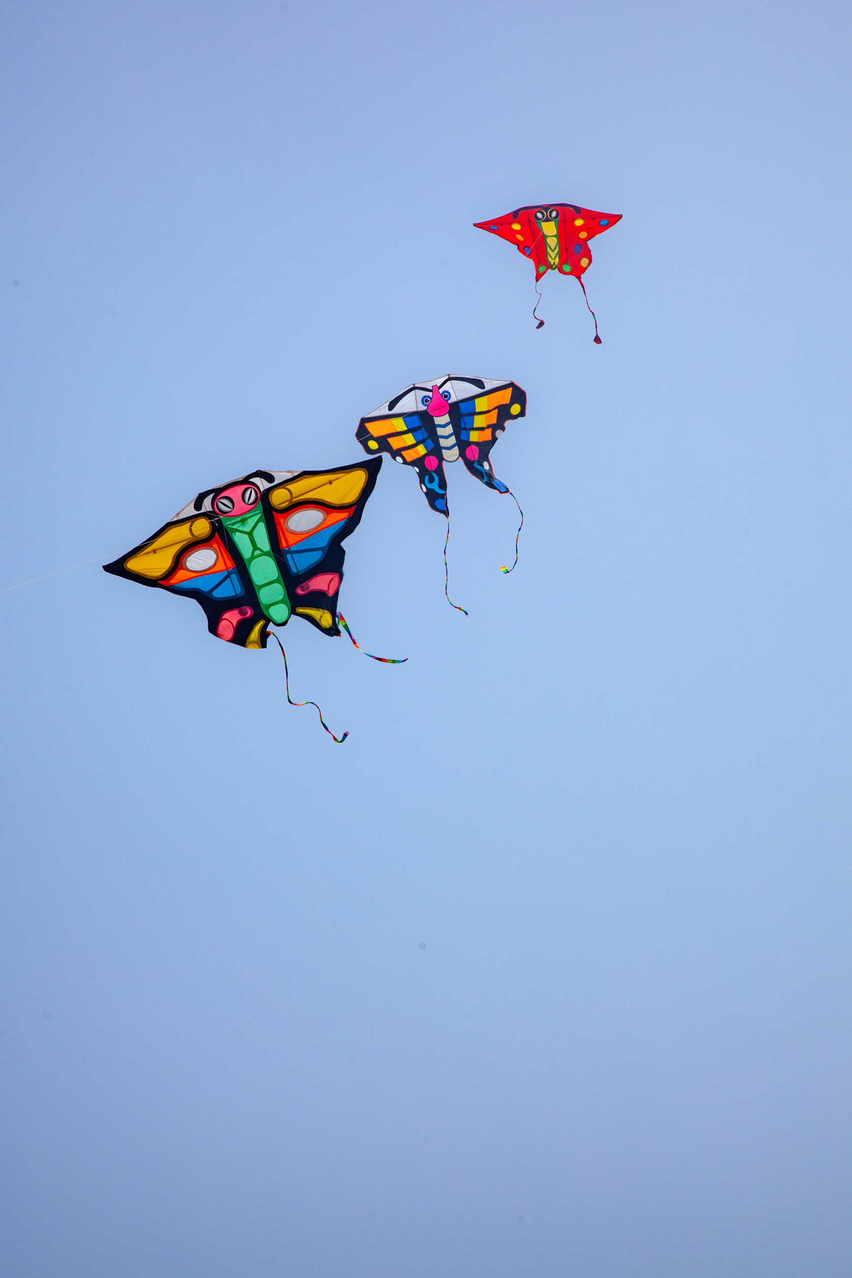 _MG_0049.jpg