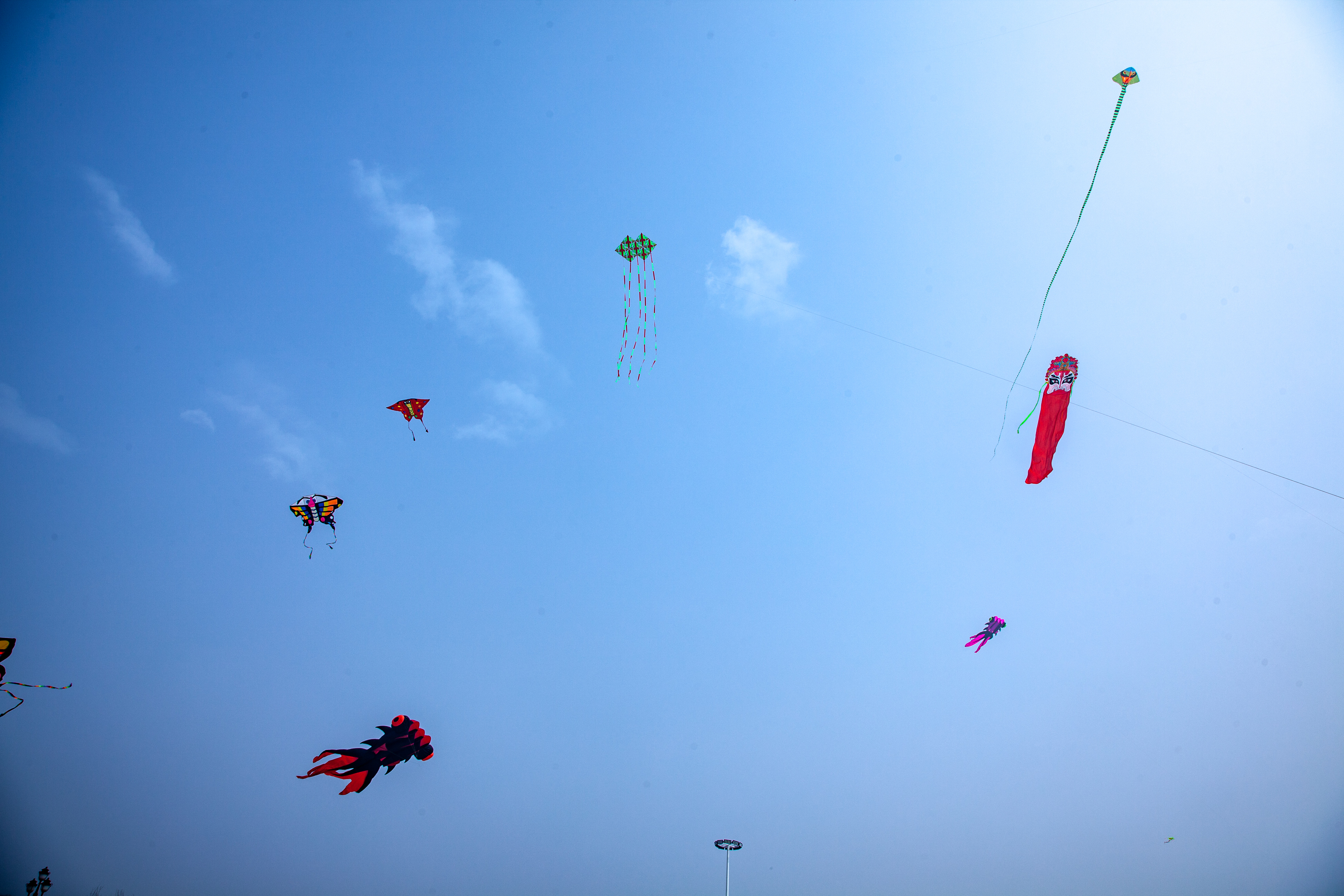 _MG_0042.jpg