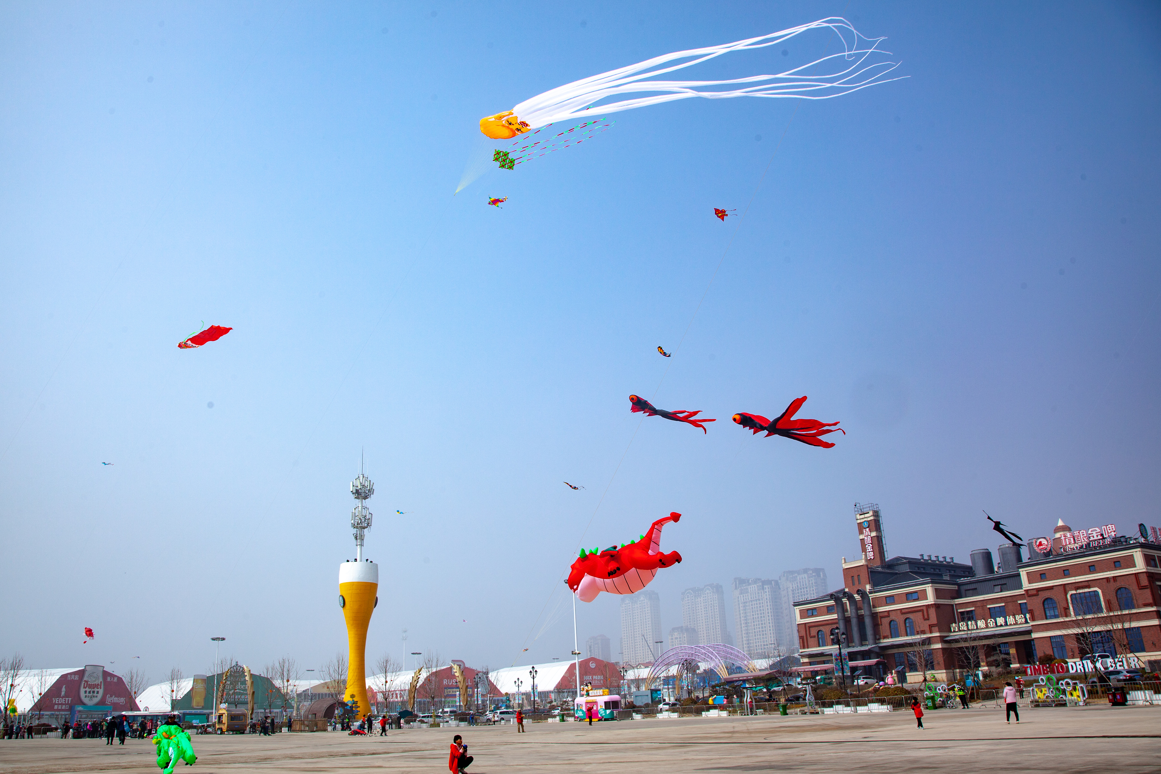_MG_0062.jpg