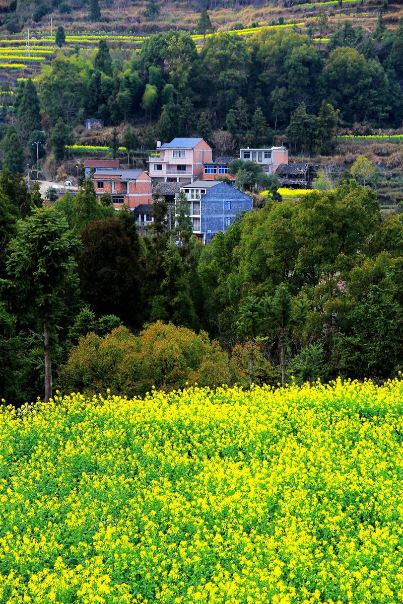 IMG_9167_副本_副本.jpg