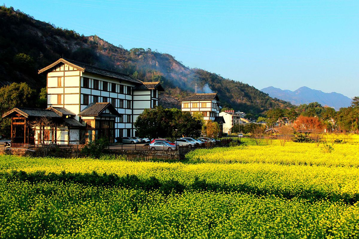IMG_9231_副本_副本.jpg