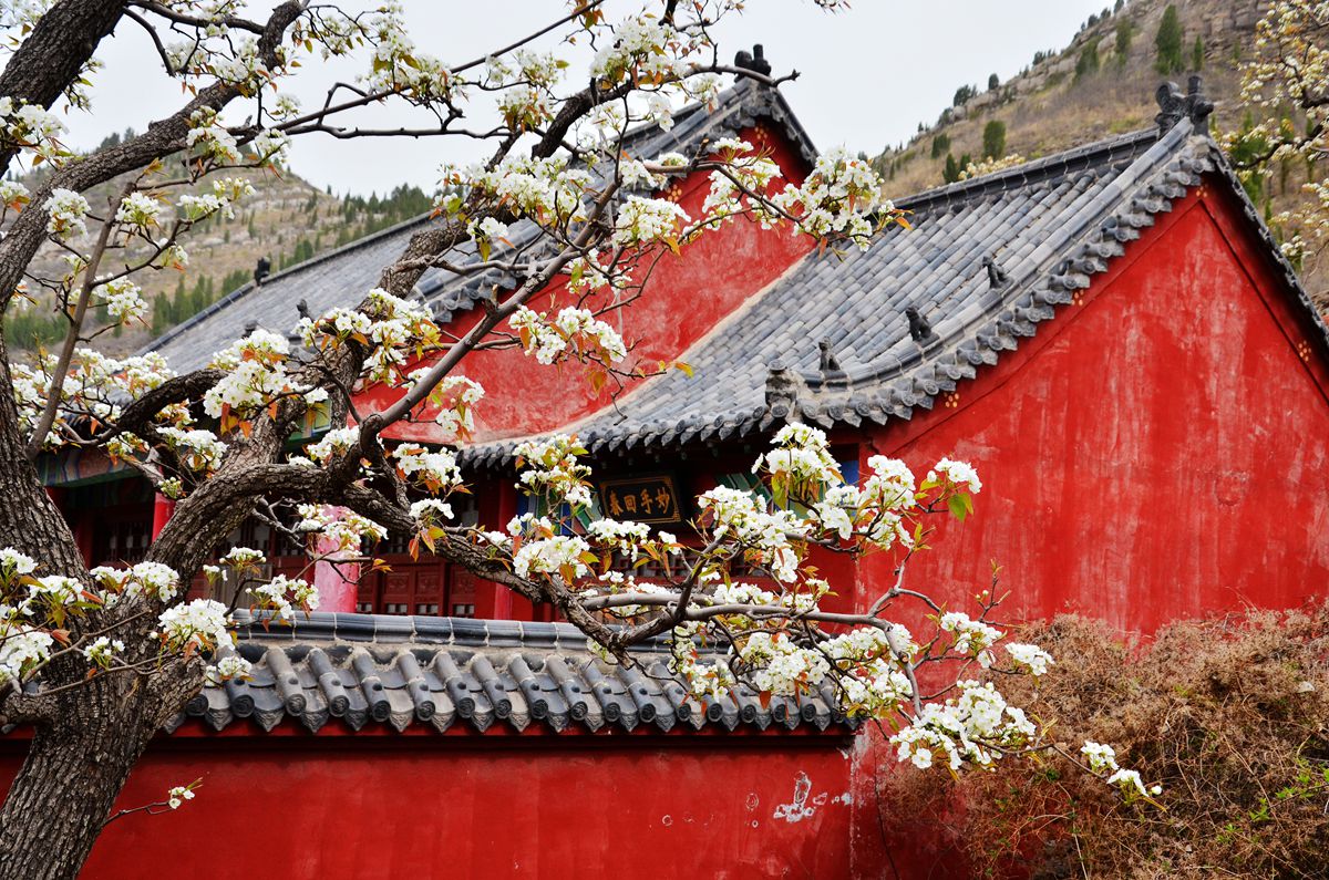 DSC_0007_副本.jpg