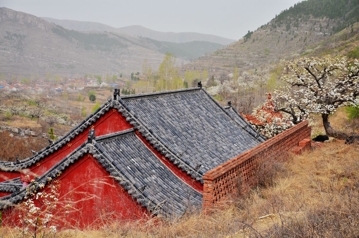 DSC_0015_副本.jpg