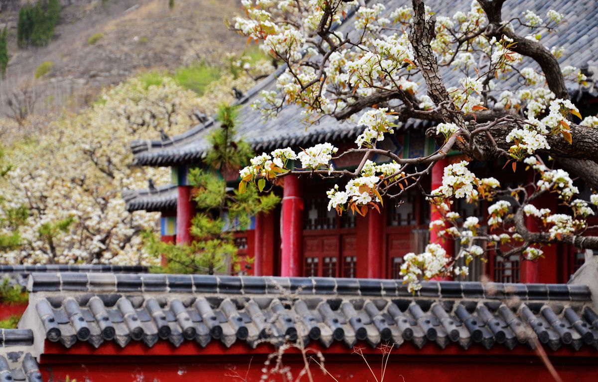 DSC_0005_副本.jpg