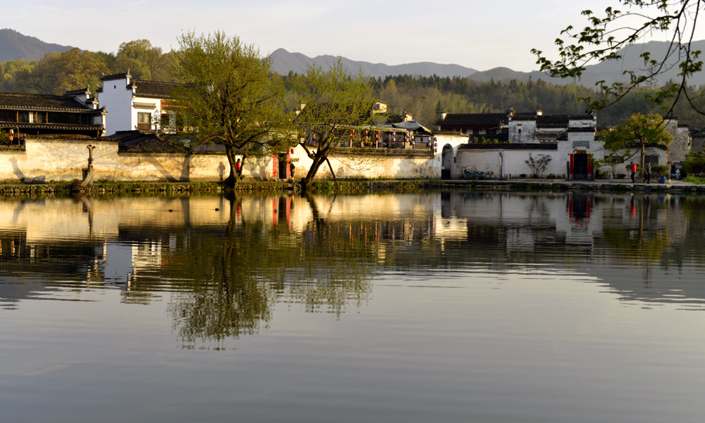_DSC0090.JPG