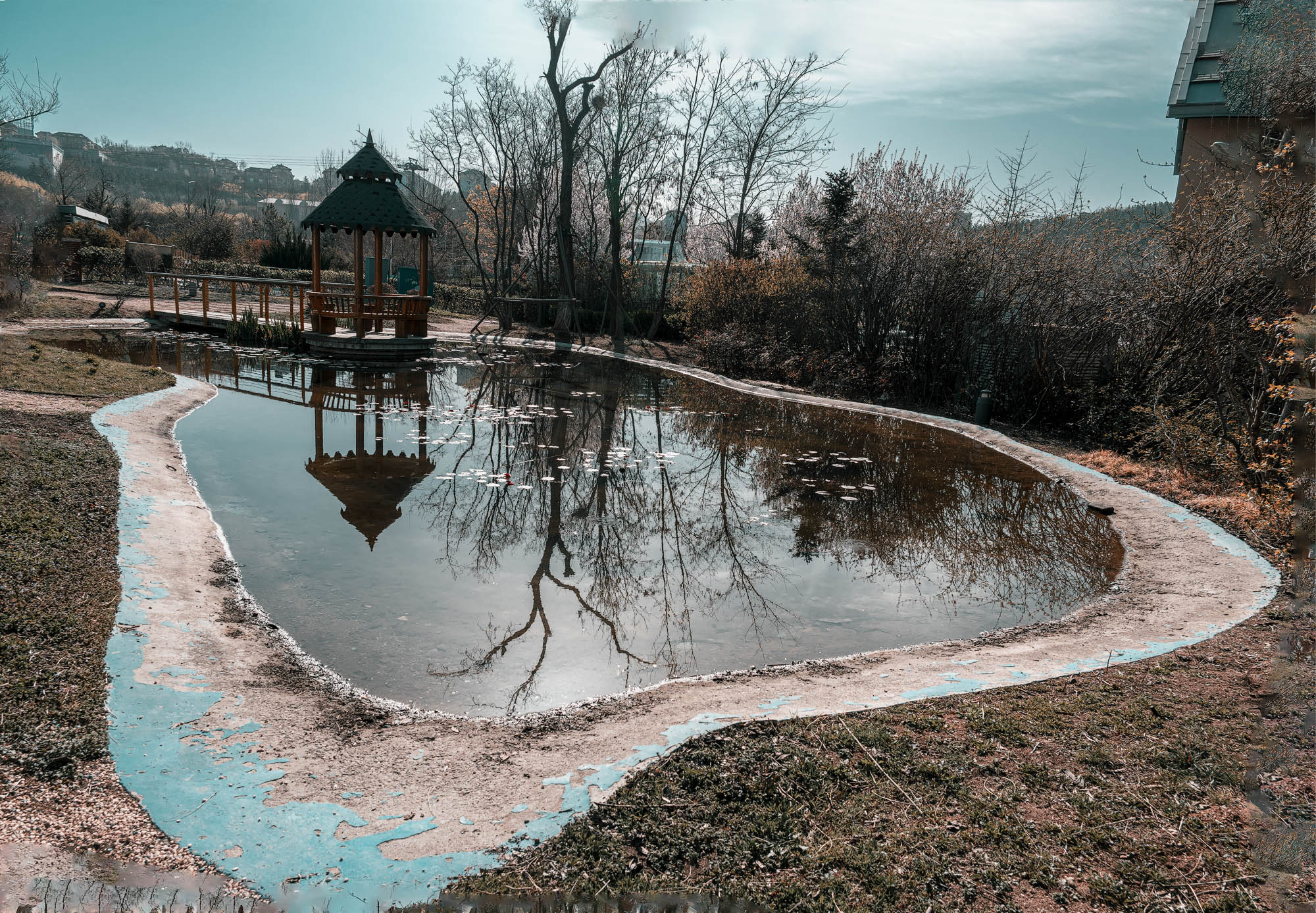 DSC_1814-1.jpg