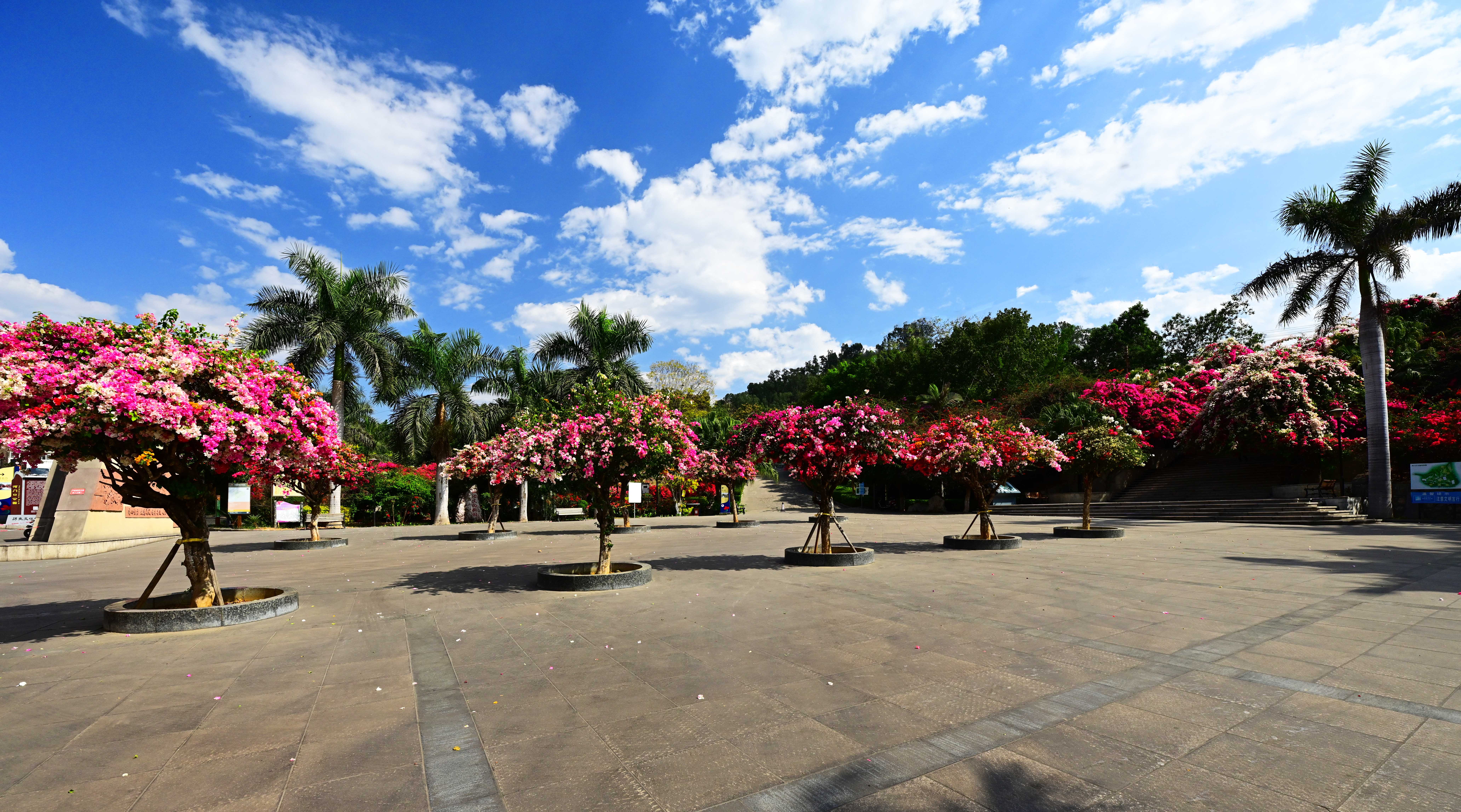 HBI_0505-.jpg