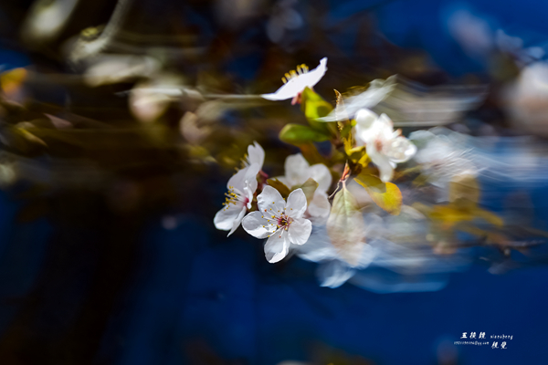 DSC_5291.JPG