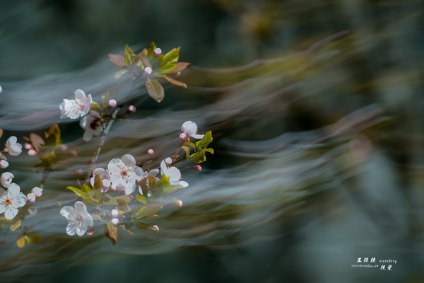 DSC_5309.JPG