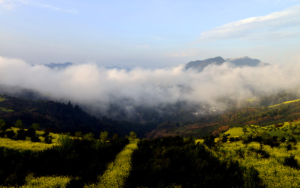 _DSC0314.JPG