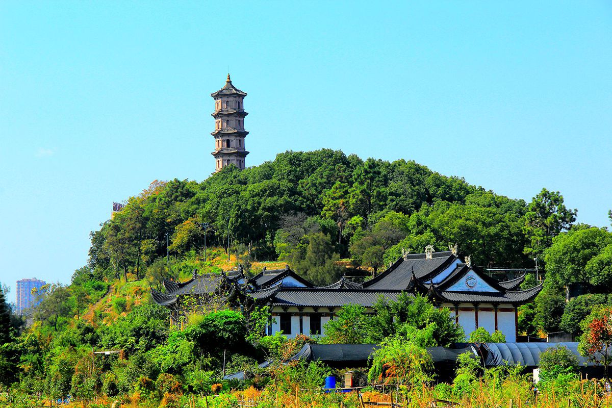 IMG_2324_副本_副本.jpg
