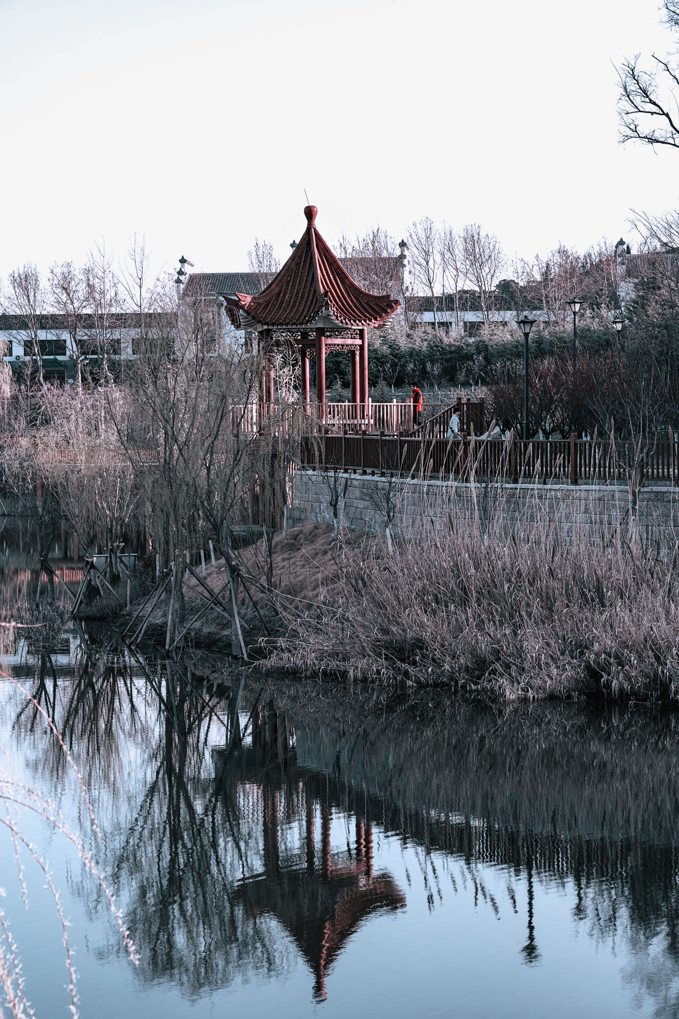 DSC_1662.jpg