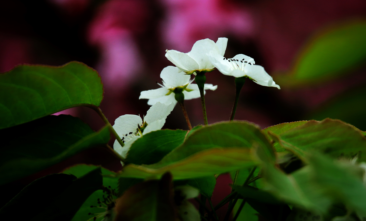 FU2A0018.JPG
