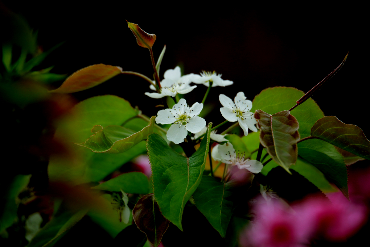 FU2A0020.JPG