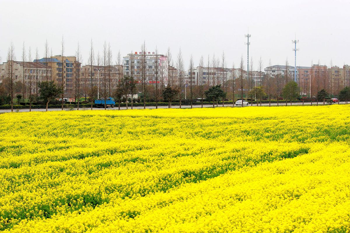 IMG_8877_副本_副本.jpg