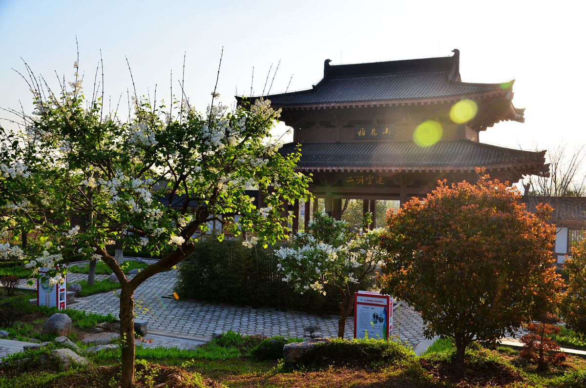 DSC_0017_副本.jpg
