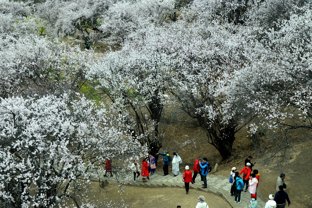 DSC_1079_副本.jpg