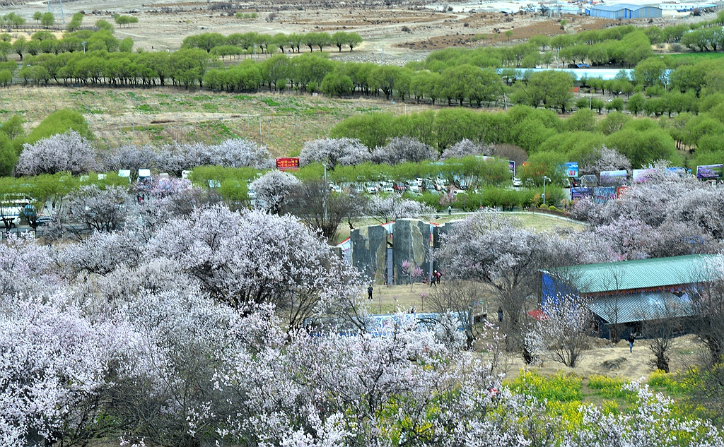 DSC_1071_副本.jpg
