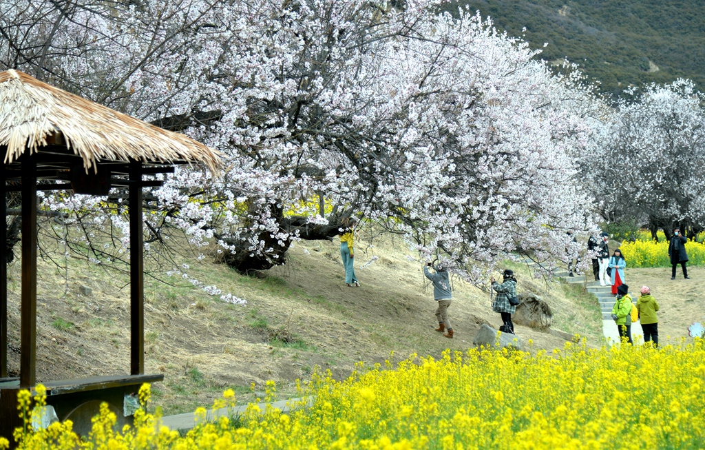 DSC_1161_副本.jpg