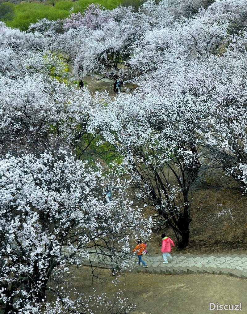 DSC_1064_副本.jpg