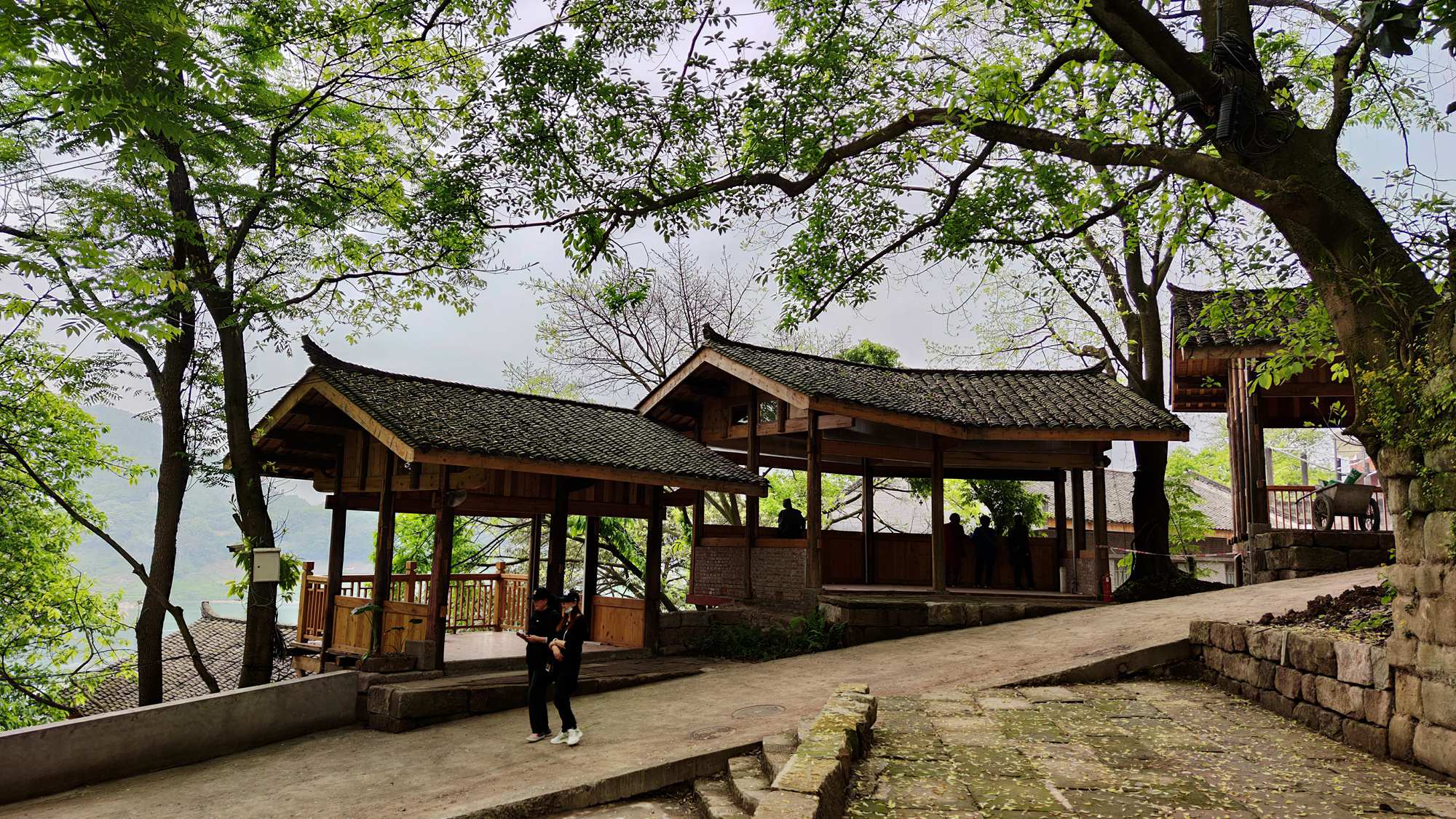 MVIMG_20210413_142915_副本.jpg