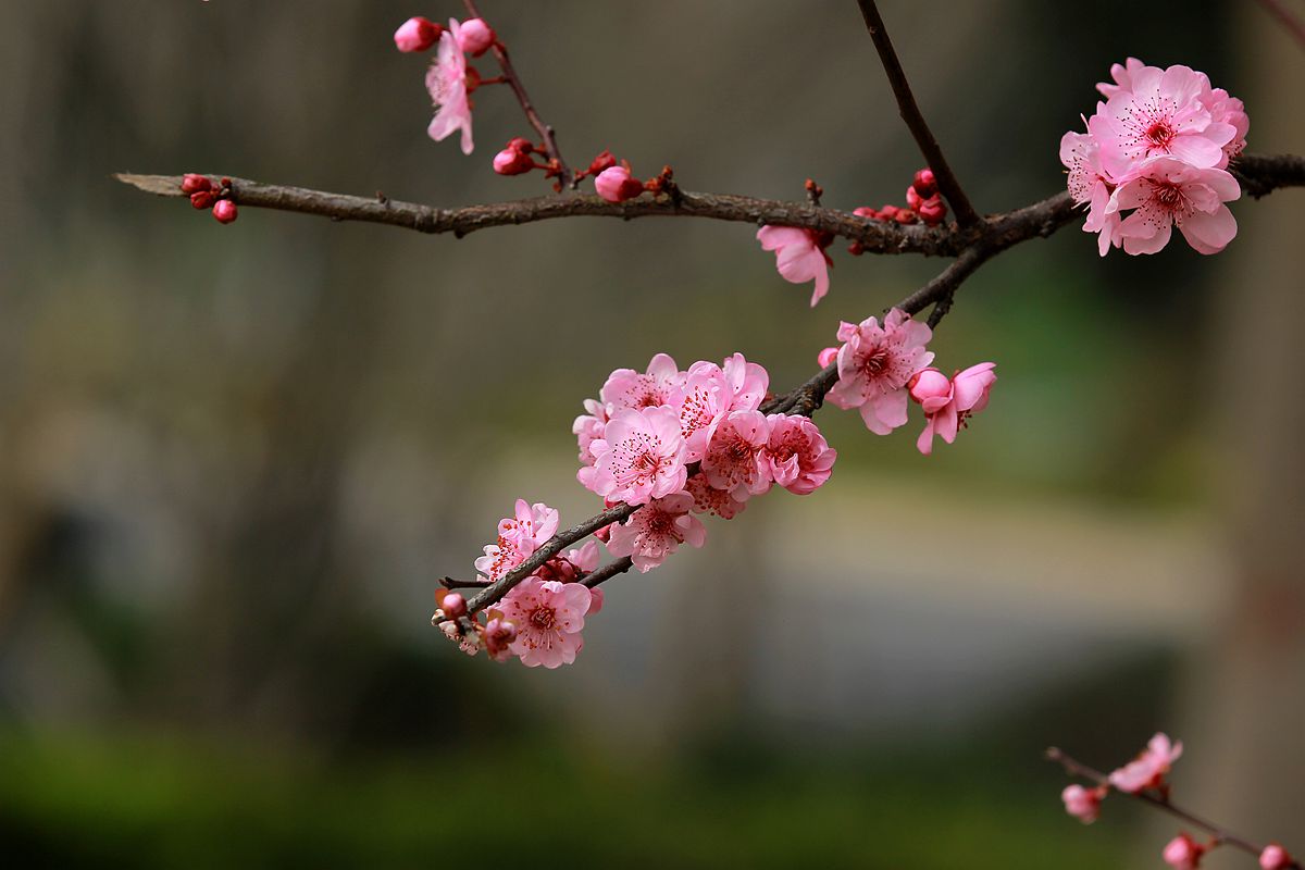 IMG_8286_副本.jpg