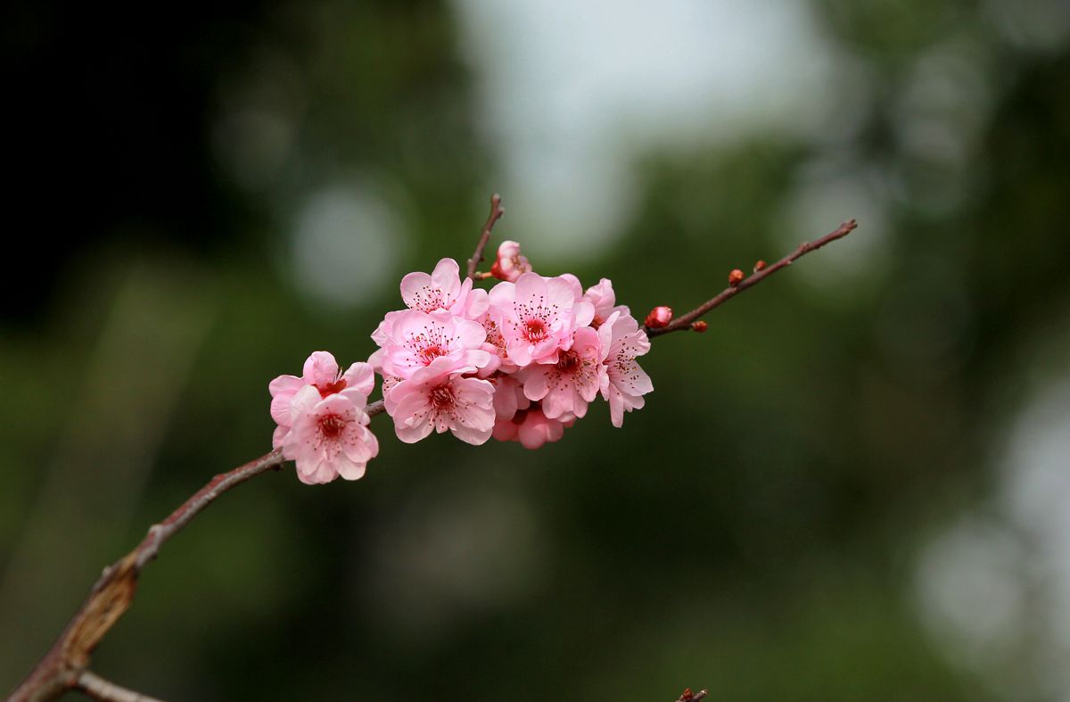 IMG_8284_副本.jpg