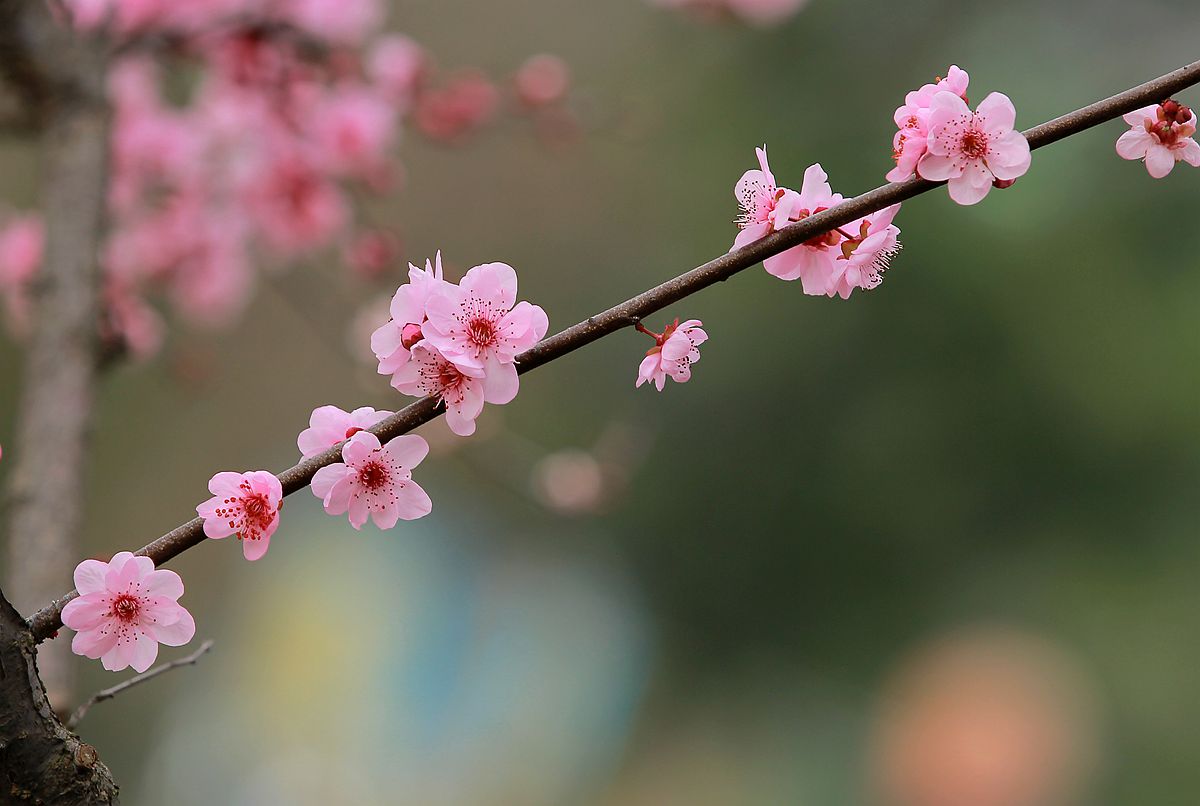 IMG_8293_副本.jpg