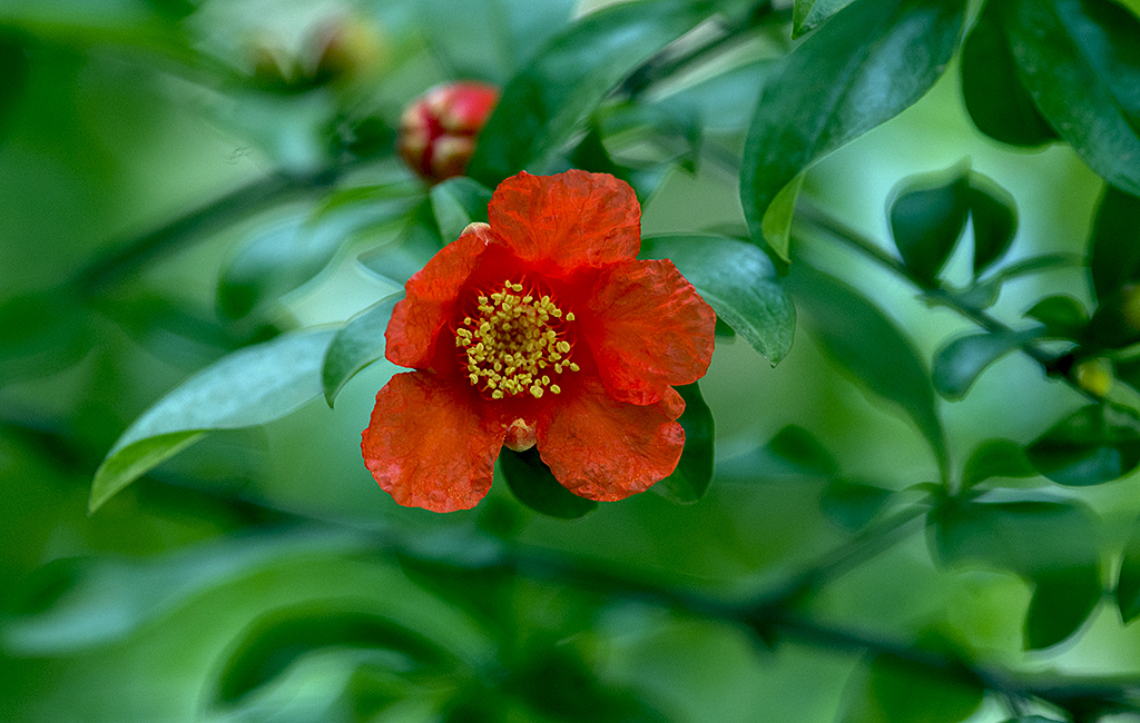 IMGP7590副本.jpg