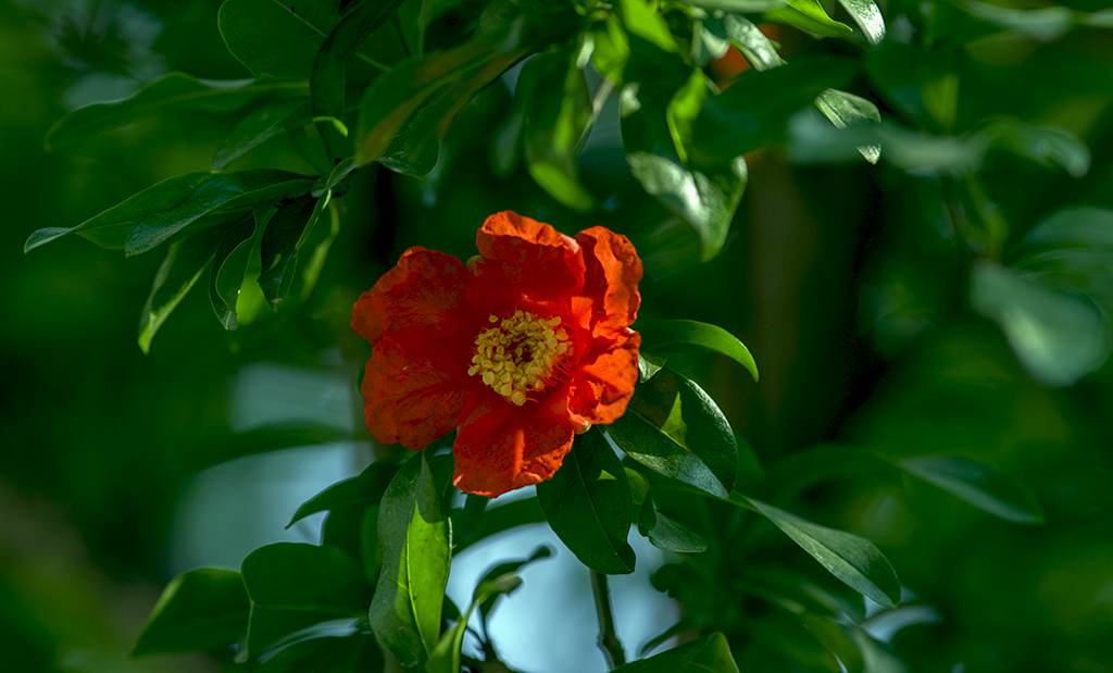 IMGP7611副本.jpg