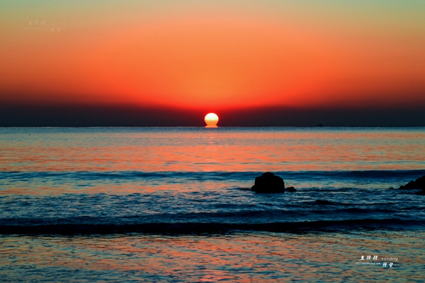 DSC_5446.JPG