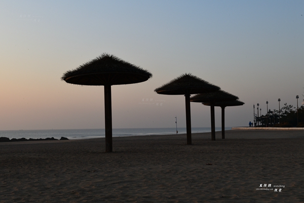 DSC_5805.JPG