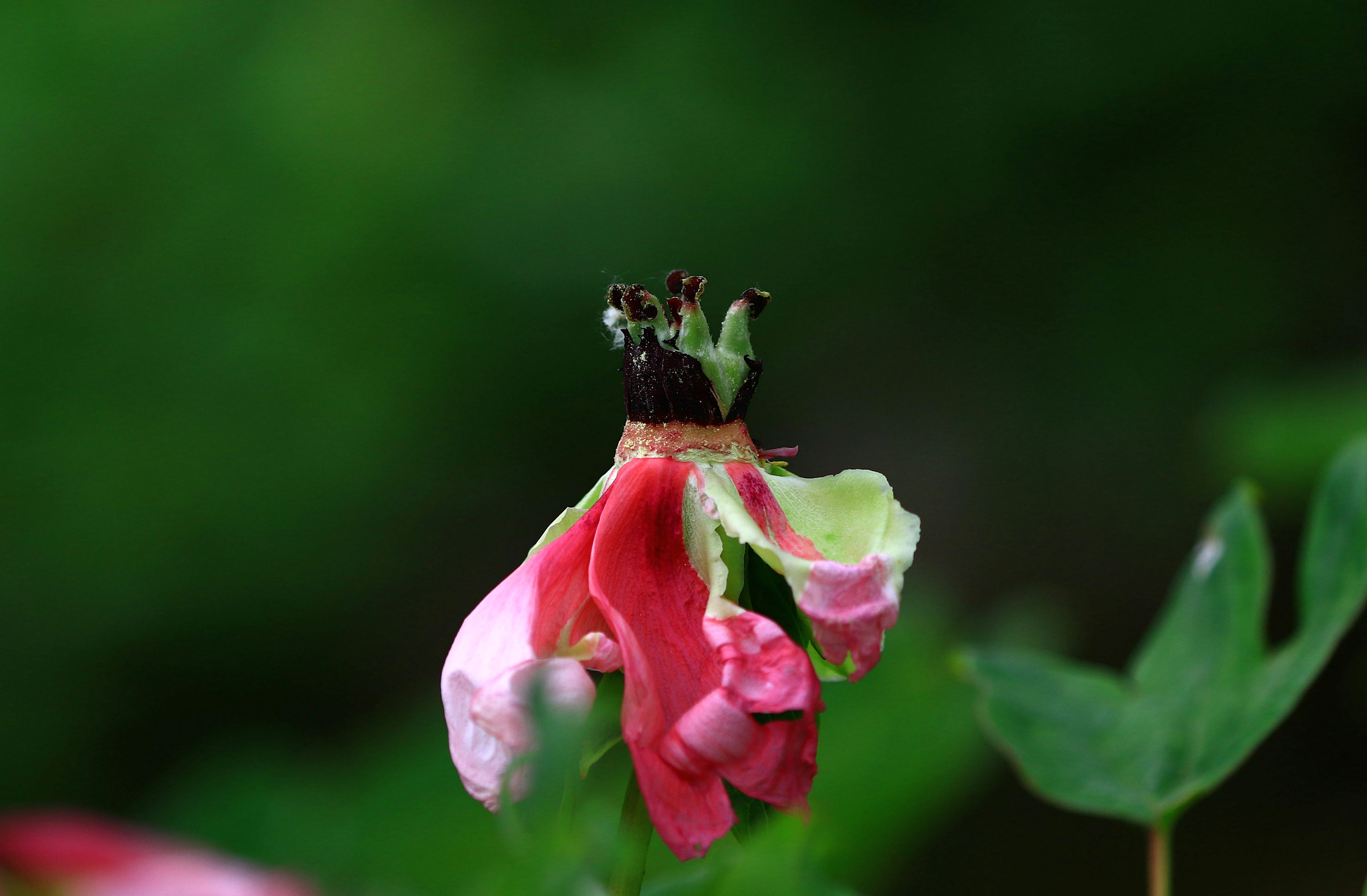 587A8741.jpg