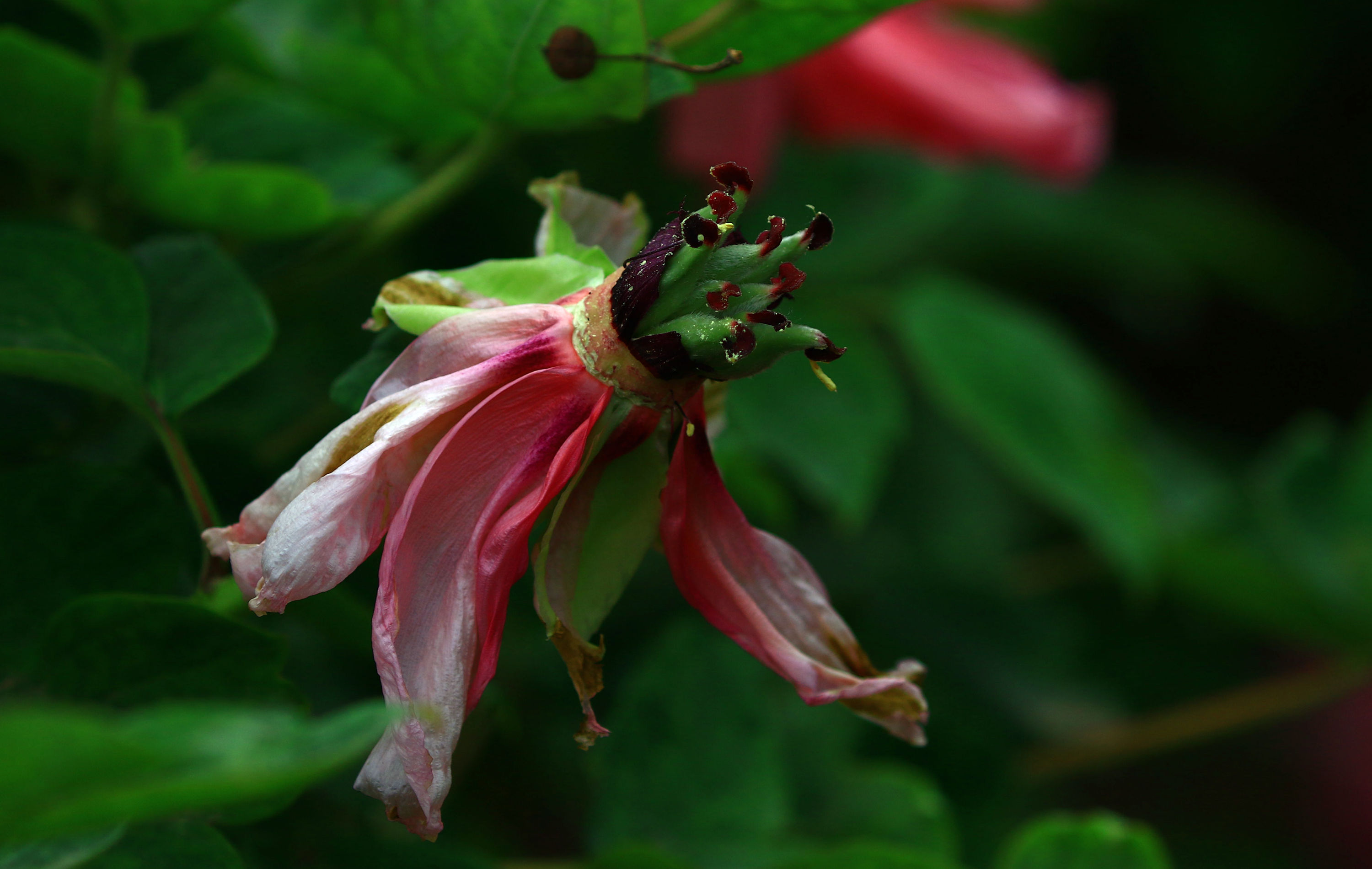 587A8742.jpg