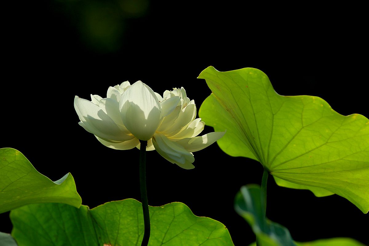 IMG_6014_副本.jpg