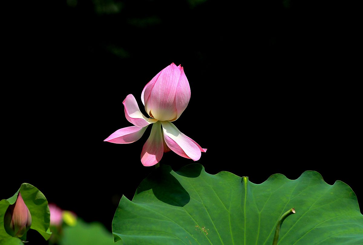 IMG_6172_副本.jpg