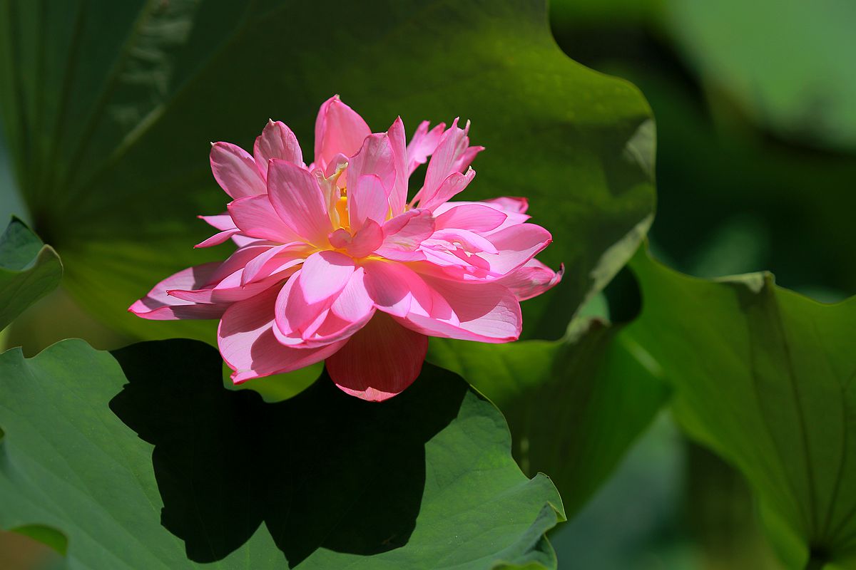 IMG_6212_副本.jpg