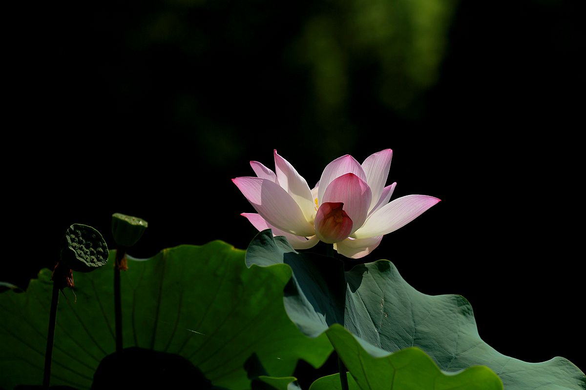 IMG_6364_副本.jpg