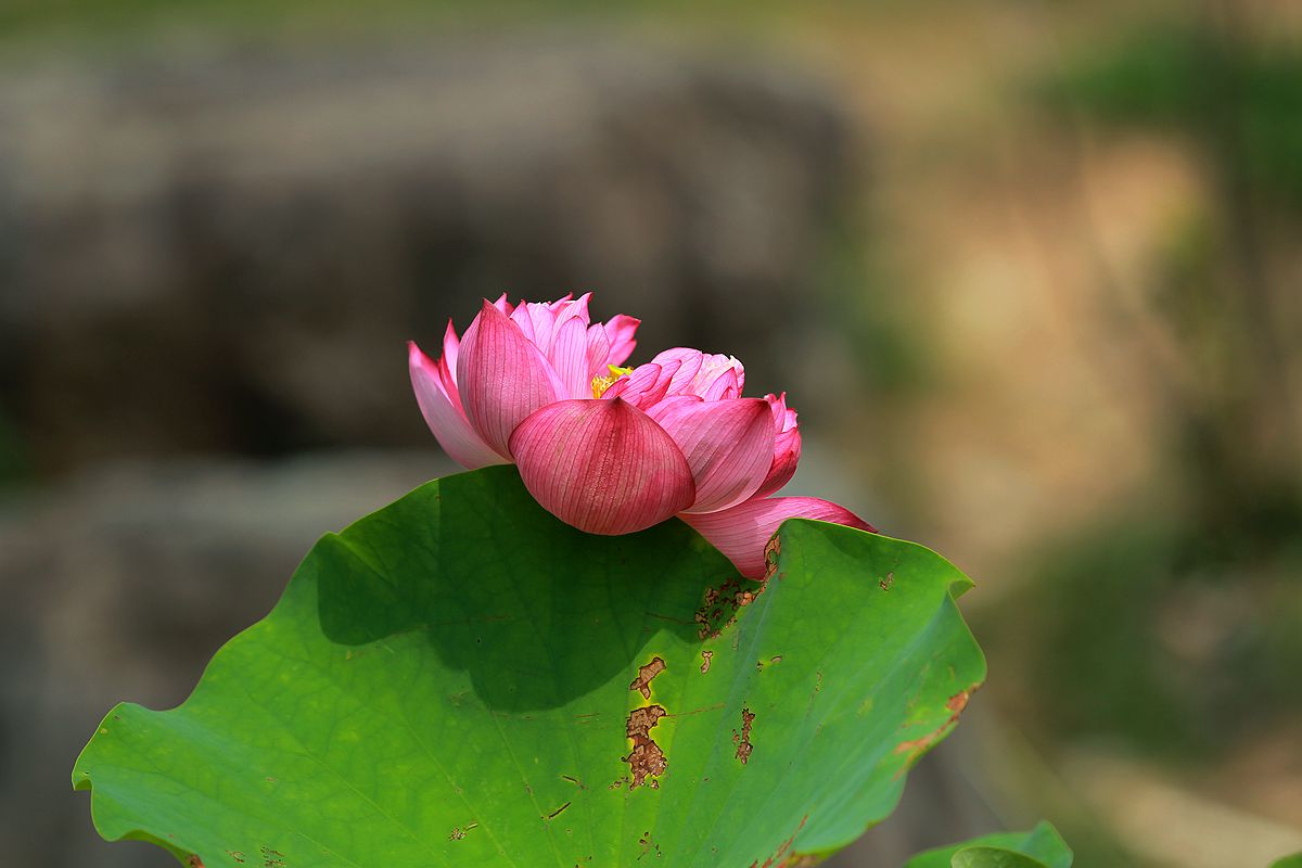 IMG_5683_副本.jpg