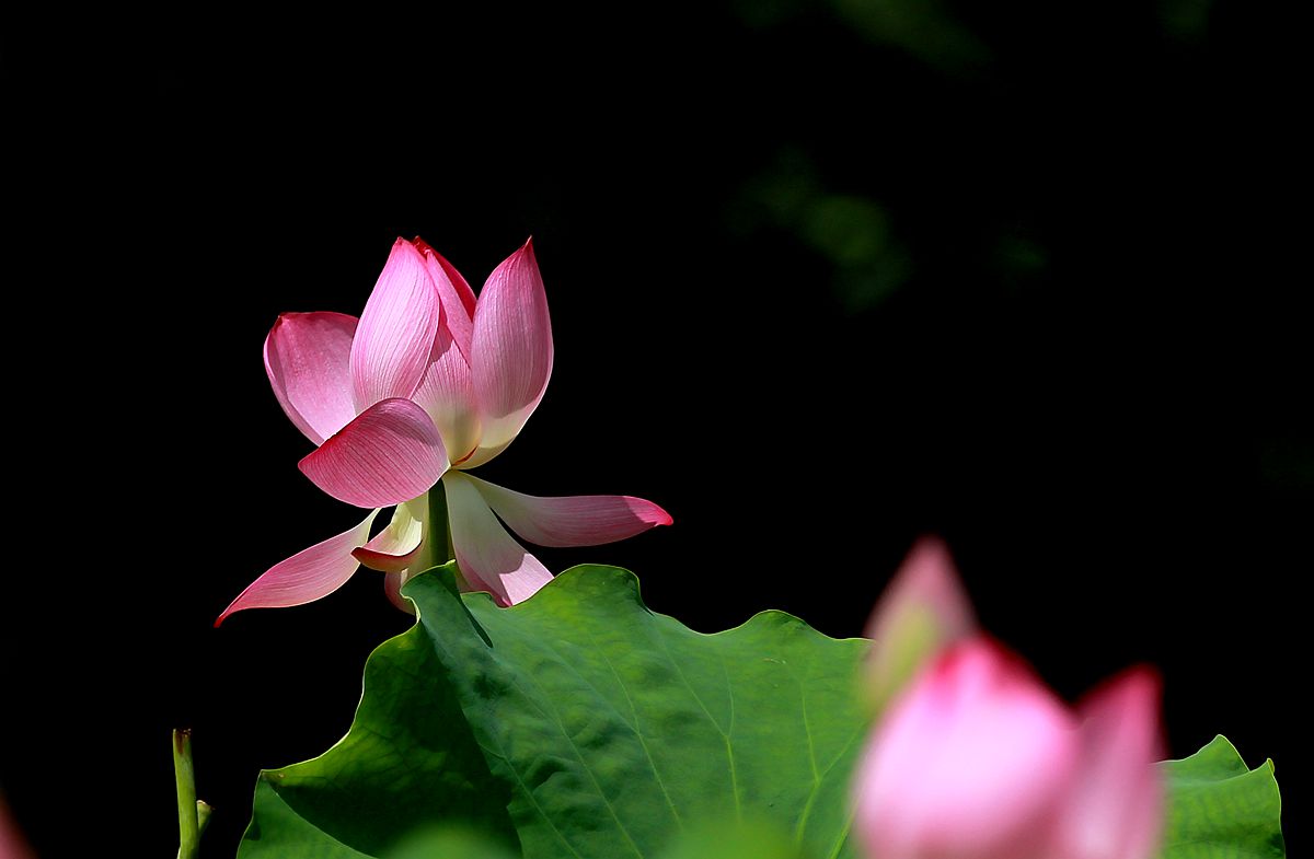 IMG_7080_副本.jpg
