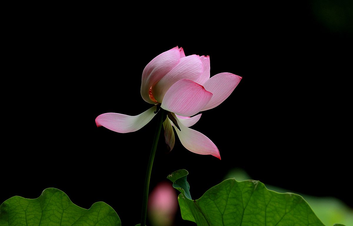 IMG_5890_副本.jpg