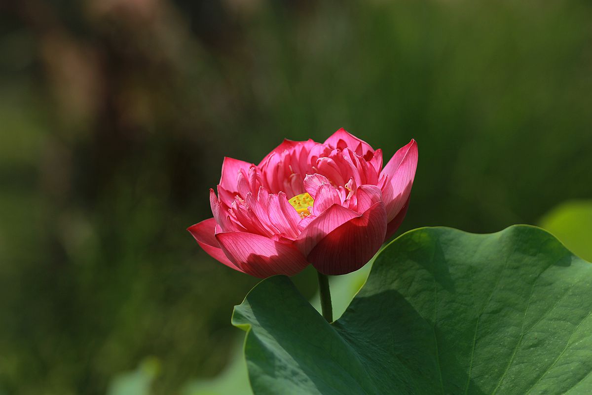 IMG_5685_副本.jpg