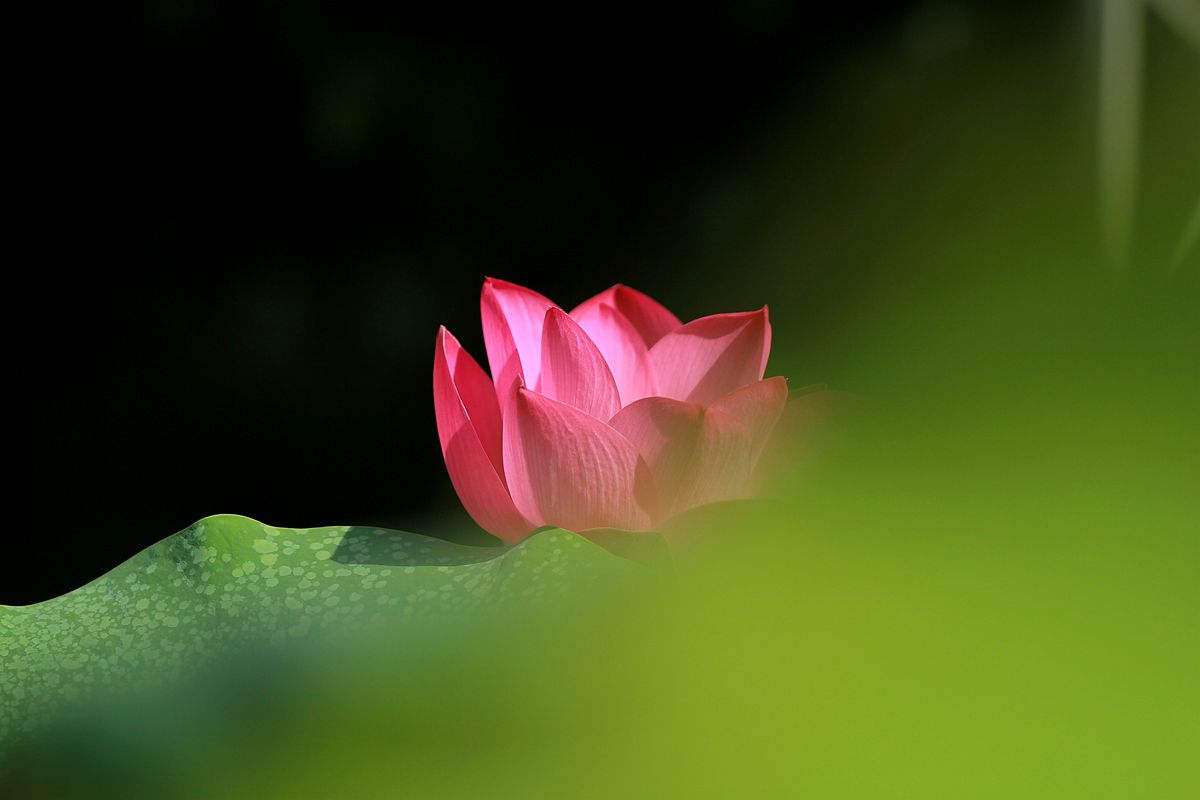 IMG_6007_副本.jpg