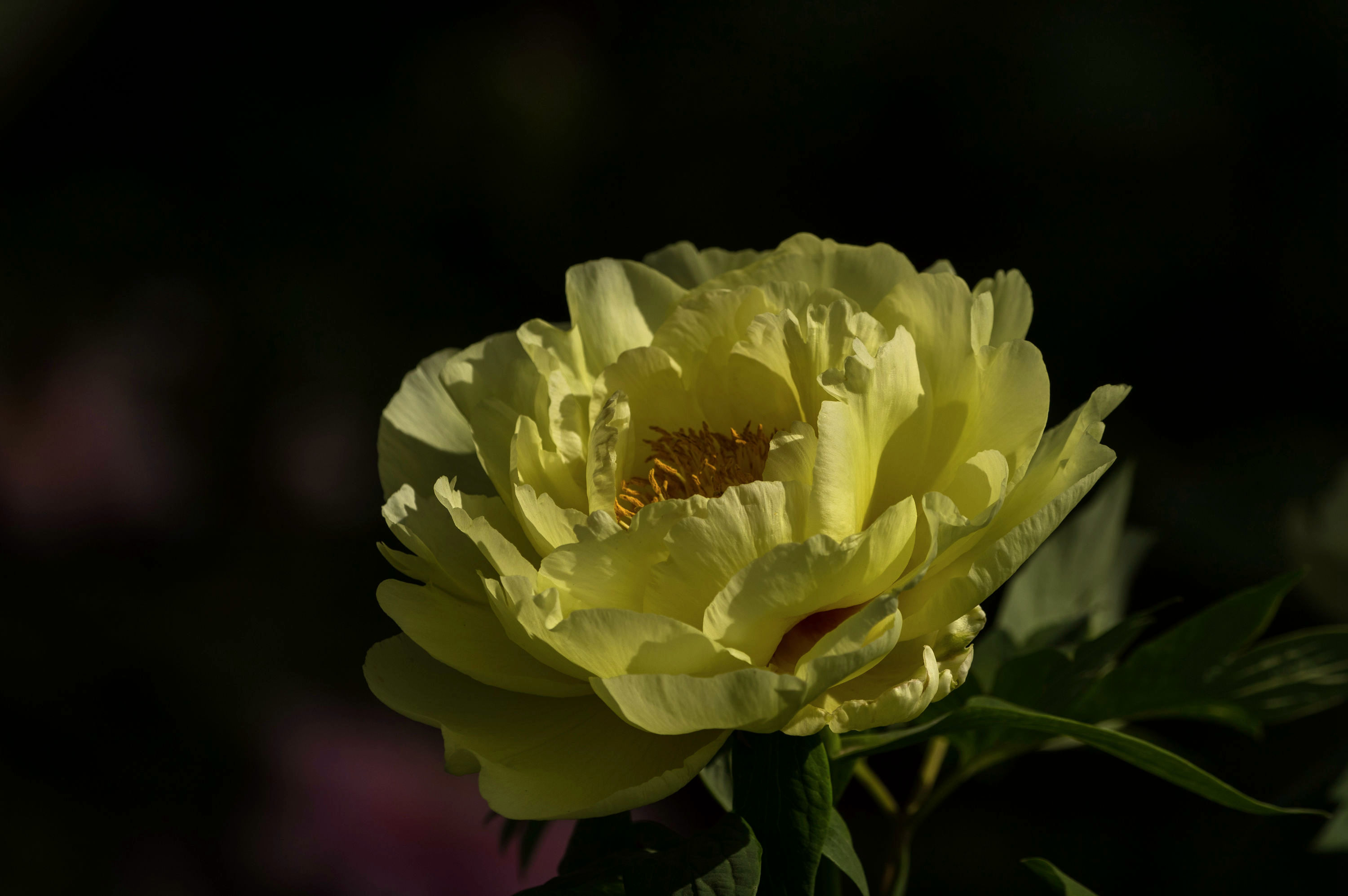 587A8345.jpg