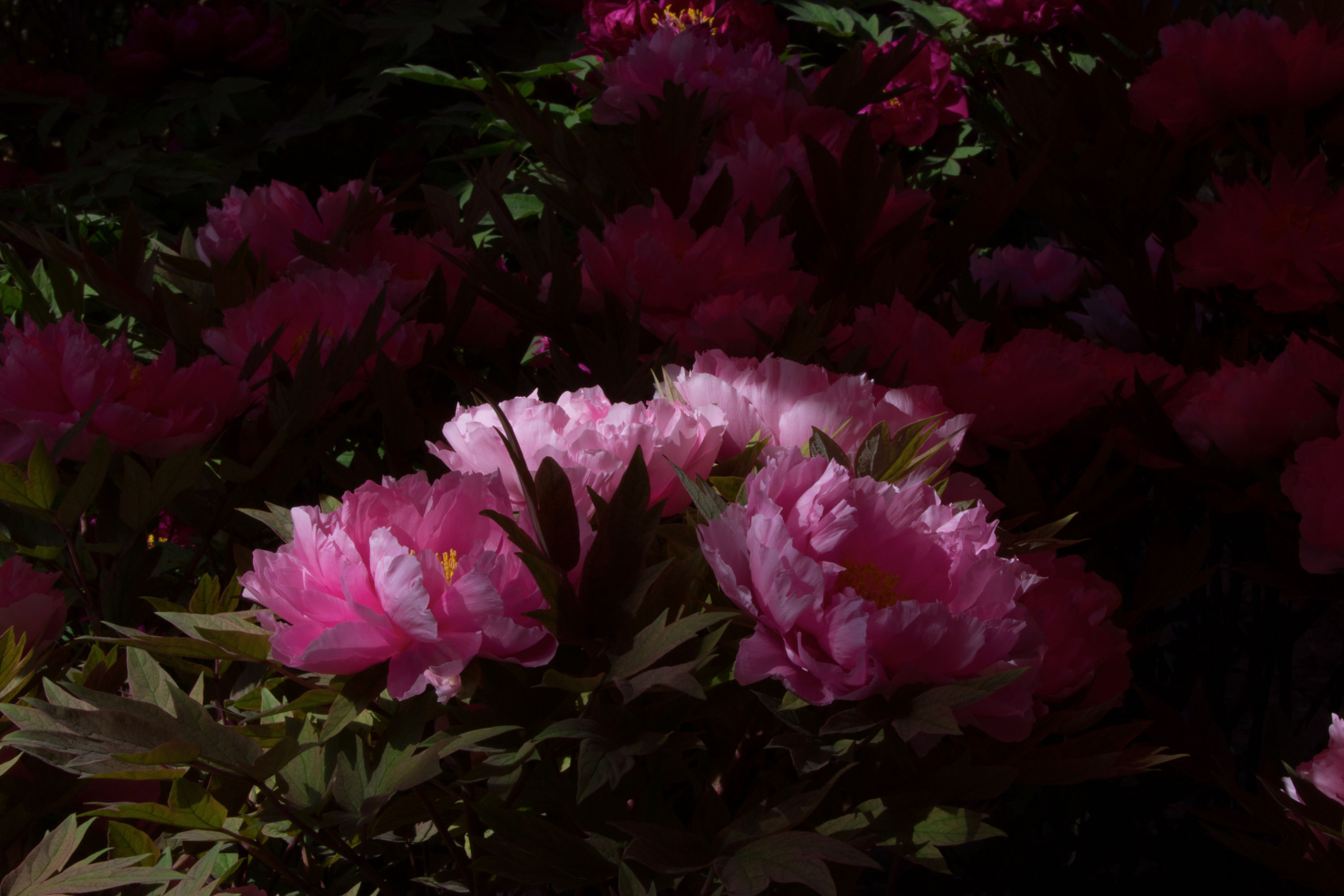 587A8313.jpg