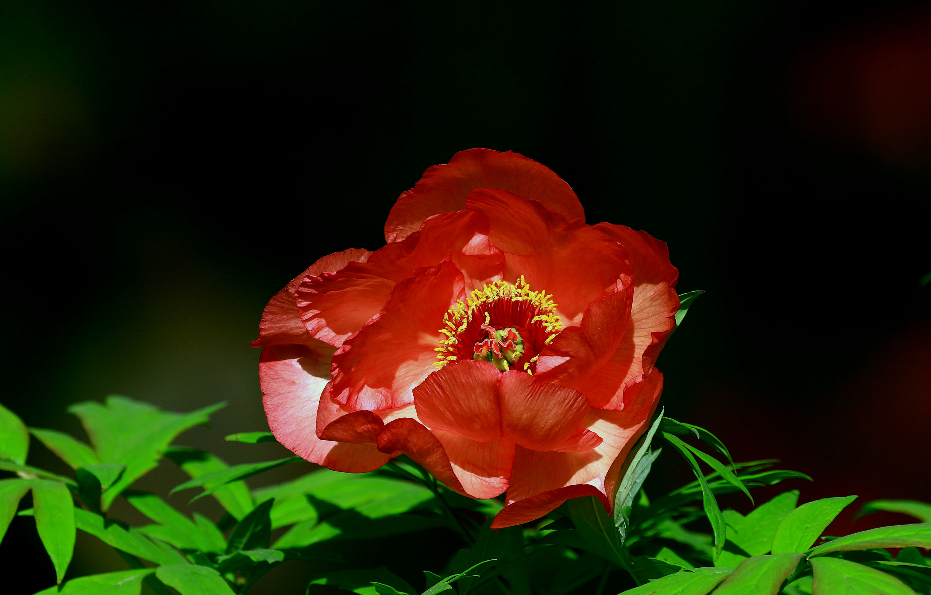 587A8392.jpg