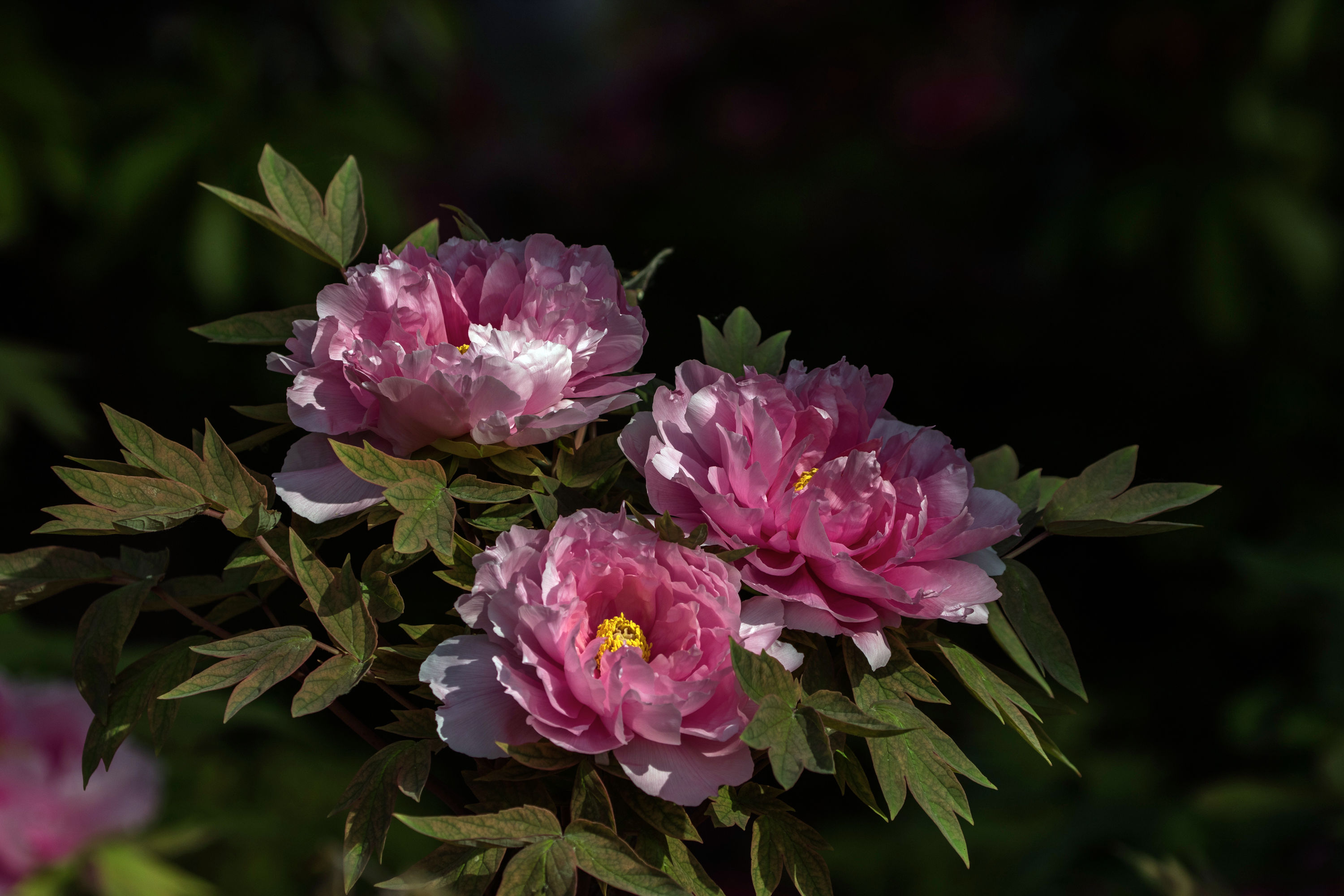 587A8390.jpg